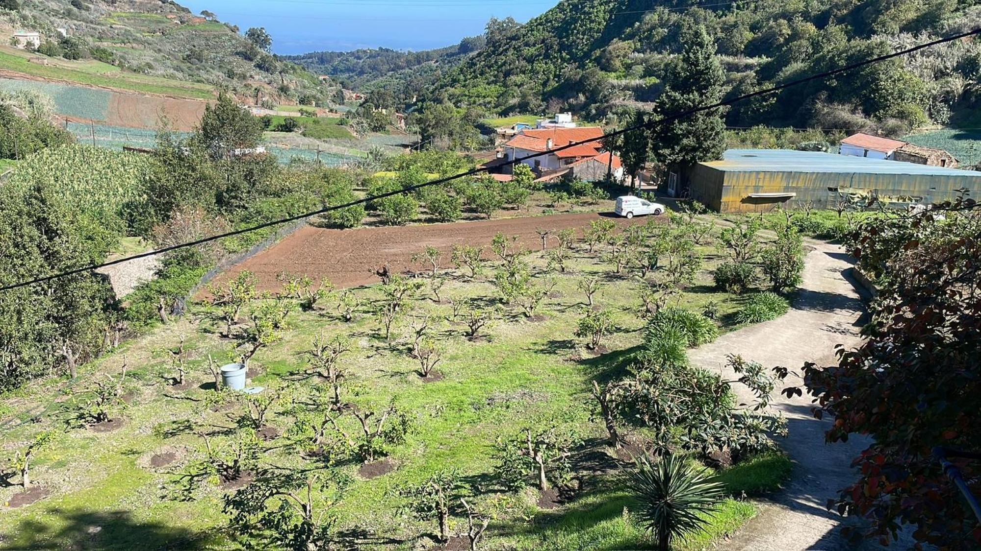 Finca Los Arcos Del Laurel Moya  Exterior photo